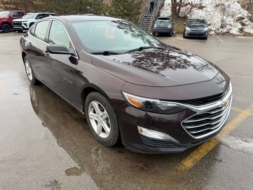 2020 Chevrolet Malibu FL