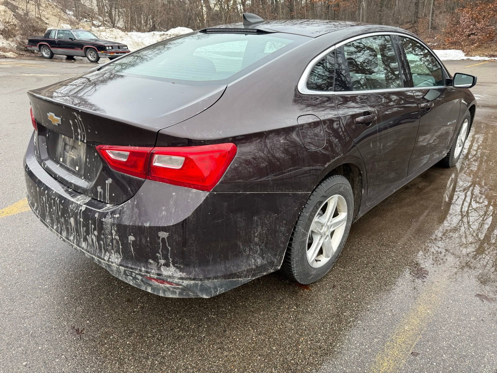 2020 Chevrolet Malibu FL