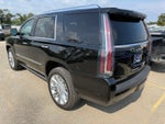 2019 Cadillac Escalade Platinum